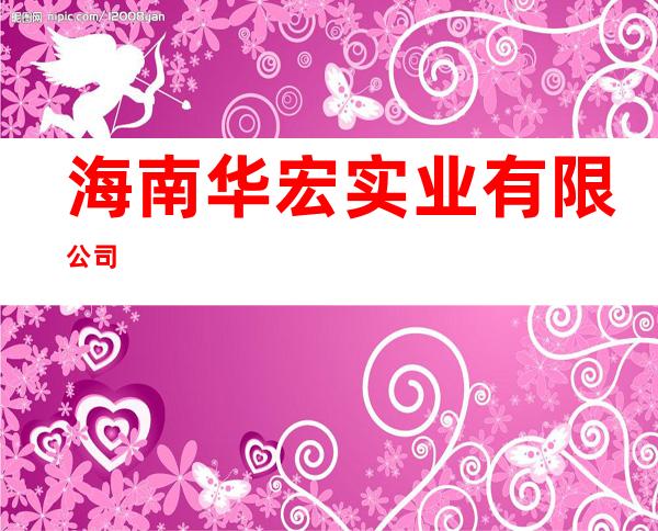 海南华宏实业有限公司