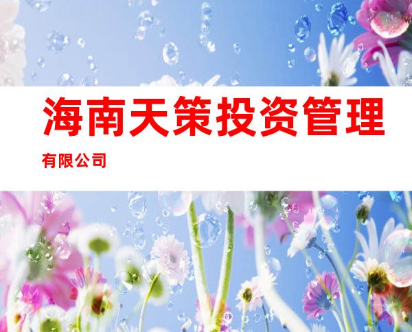 海南天策投资管理有限公司